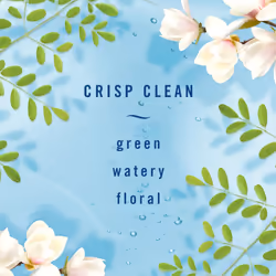 Febreze Fabric Refresher  Heavy Duty Crisp Clean Air  27 Ounce  (3 Pack)