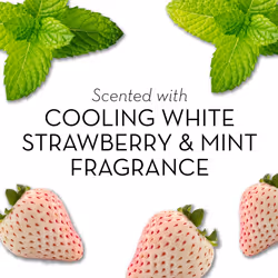 Olay Fresh Outlast Beauty Bar  Cooling White Strawberry and Mint  6 Soap Bars