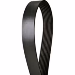Continental 4081261 Serpentine Belt black