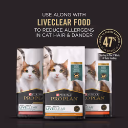 Purina Pro Plan Rinse Free  Allergen Reducing Dry Shampoo for Cats  LIVECLEAR Cleansing Foam - 8.5 oz