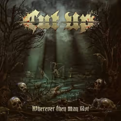 ImportCDs Wherever They May Rot, Heavy Metal, CD, Physical media, Adult, 1 discs, 23/03/2017