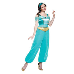 Jasmine Adult Costume - Large