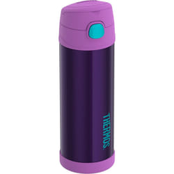 THERMOS FUNTAINER 16 Ounce Stainless Steel Bottle  Purple