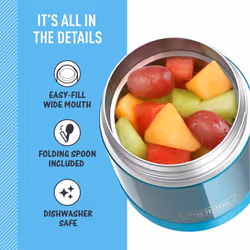 THERMOS FUNTAINER 10 Ounce Stainless Steel Vacuum Insulated Kids Food Jar with Spoon  Teal