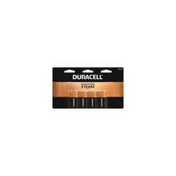 Alkaline Batteries, 9-Volt, 4-Pk. -MN16B4DW