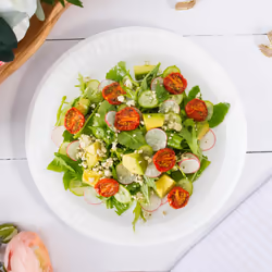 Dart 9PWCR disposable dish Plate