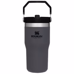 Stanley IceFlow Stainless Steel Tumbler with Straw Vacuum Insulated Water Bottle for Home Office or Car Reusable Cup with S ...