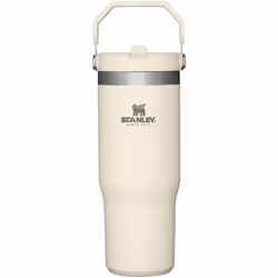 STANLEY IceFlow Stainless Steel Tumbler with Straw Vacuum Insulated Water Bottle for Home Office or Car Reusable Cup with ...