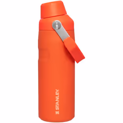 Stanley IceFlow Fast Flow Water Bottle 16 OZ  Angled Spout Lid  Lightweight  Leakproof for Travel  Gym  Insulated Stainless
