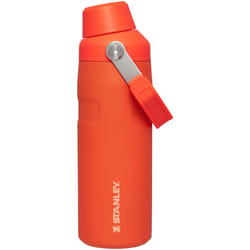 Stanley IceFlow Fast Flow Water Bottle 16 OZ  Angled Spout Lid  Lightweight  Leakproof for Travel  Gym  Insulated Stainless