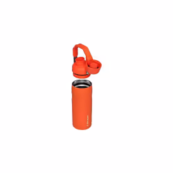 Stanley IceFlow Fast Flow Water Bottle 16 OZ  Angled Spout Lid  Lightweight  Leakproof for Travel  Gym  Insulated Stainless