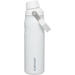 Stanley IceFlow Fast Flow Water Bottle 24 OZ | Angled Spout Lid | Ligh