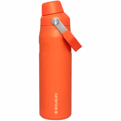 Stanley IceFlow Fast Flow Water Bottle 24 OZ Angled Spout Lid Lightweight Leakproof for Travel Gym Insulated Stainless