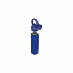 Stanley IceFlow Fast Flow Water Bottle 24 OZ  Angled Spout Lid  Lightweight  Leakproof for Travel  Gym  Insulated Stainless