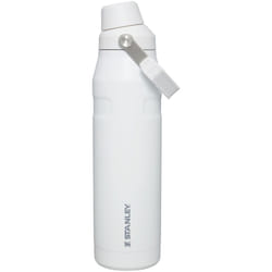 Stanley IceFlow Fast Flow Water Bottle 36 OZ | Angled Spout Lid | Ligh
