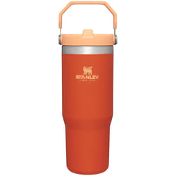 Stanley IceFlow Stainless Steel Tumbler with Straw  Vacuum Insulated Water Bottle for Home  Office or Car Reusable Cup with Str