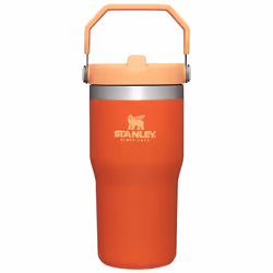 Stanley IceFlow Stainless Steel Tumbler - Vacuum Insulated Water Bottle for Home Office or Car Reusable Cup with Straw Leak ...