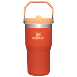 Stanley IceFlow Stainless Steel Tumbler - Vacuum Insulated Water Bottle for Home  Office or Car Reusable Cup with Straw Leak Resistant Flip Cold for 1