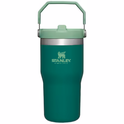 Stanley IceFlow Stainless Steel Tumbler - Vacuum Insulated Water Bottle for Home Office or Car Reusable Cup with Straw Leak ...