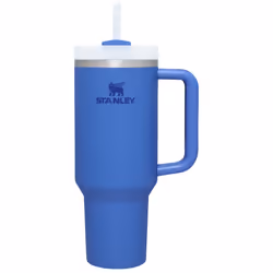 STANLEY Quencher H2.0 FlowState Stainless Steel Vacuum Insulated Tumbler with Lid and Straw for Water  Iced Tea or Coffee (Ir ...