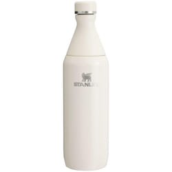 Stanley All Day Slim Bottle 20 OZ  Twist off Lid with Leakproof Seal  Slim Design for Travel  Gym  Insulated Stainless Steel