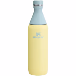 Stanley All Day Slim Bottle 20 OZ  Twist off Lid with Leakproof Seal  Slim Design for Travel  Gym  Insulated Stainless Steel