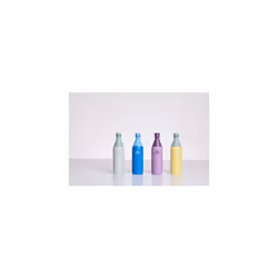 Stanley All Day Slim Bottle 20 OZ  Twist off Lid with Leakproof Seal  Slim Design for Travel  Gym  Insulated Stainless Steel