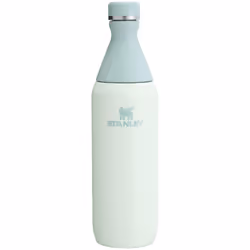 Stanley All Day Slim Bottle 20 OZ  Twist off Lid with Leakproof Seal  Slim Design for Travel  Gym  Insulated Stainless Steel