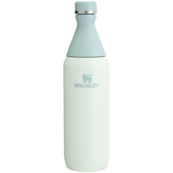 Stanley All Day Slim Bottle 20 OZ  Twist off Lid with Leakproof Seal  Slim Design for Travel  Gym  Insulated Stainless Steel