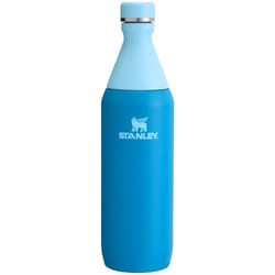 Stanley All Day Slim Bottle 20 OZ  Twist off Lid with Leakproof Seal  Slim Design for Travel  Gym  Insulated Stainless Steel