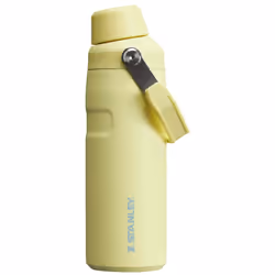 Stanley IceFlow Fast Flow Water Bottle 16 oz | Angled Spout Lid | Lightweight and Leakproof for Travel and Sports | Insulated ...