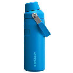 Stanley IceFlow Fast Flow Water Bottle 16 oz | Angled Spout Lid | Lightweight and Leakproof for Travel and Sports | Insulated Stainless Steel | BPA-Fr