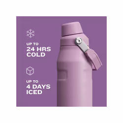 Stanley IceFlow Fast Flow Water Bottle 16 oz | Angled Spout Lid | Lightweight and Leakproof for Travel and Sports | Insulated Stainless Steel | BPA-Fr