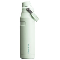 Stanley IceFlow Fast Flow Water Bottle 16 oz | Angled Spout Lid | Lightweight and Leakproof for Travel and Sports | Insulated Stainless Steel | BPA-Fr