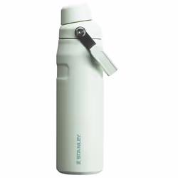 Stanley IceFlow Fast Flow Water Bottle 24 oz | Angled Spout Lid | Lightweight and Leakproof for Travel and Sports | Insulated ...