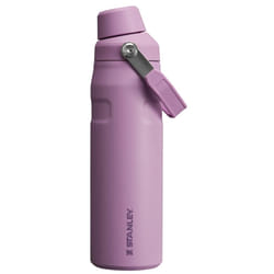 Stanley IceFlow Fast Flow Water Bottle 24 oz | Angled Spout Lid | Lightweight and Leakproof for Travel and Sports | Insulated Stainless Steel | BPA-Fr