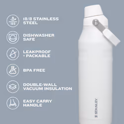 Stanley IceFlow Fast Flow Water Bottle 24 oz | Angled Spout Lid | Lightweight and Leakproof for Travel and Sports | Insulated Stainless Steel | BPA-Fr