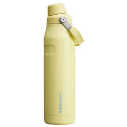 Stanley IceFlow Fast Flow Water Bottle 36 oz | Angled Spout Lid | Lightweight and Leakproof for Travel and Sports | Insulated ...