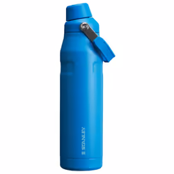 Stanley IceFlow Fast Flow Water Bottle 36 oz | Angled Spout Lid | Lightweight and Leakproof for Travel and Sports | Insulated ...