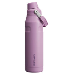 Stanley IceFlow Fast Flow Water Bottle 36 oz | Angled Spout Lid | Lightweight and Leakproof for Travel and Sports | Insulated Stainless Steel | BPA-Fr