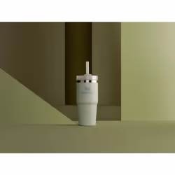 Stanley Quencher H2.0 FlowState Stainless Steel Vacuum Insulated Tumbler with Lid and Straw for Water  Iced Tea or Coffee  Smoothie and More  Mist  14