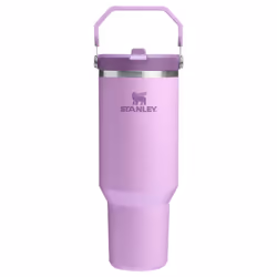 Stanley IceFlow 2.0 Flip Straw Tumbler with Handle 40 oz | Twist On Lid and Flip Up Straw | Leak Resistant Water Bottle | Ins ...