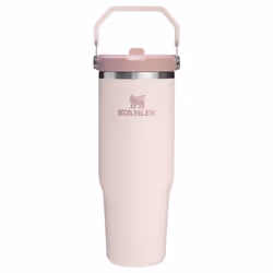 Stanley IceFlow 2.0 Flip Straw Tumbler with Handle 30 oz | Twist On Lid and Flip Up Straw | Leak Resistant Water Bottle | Ins ...