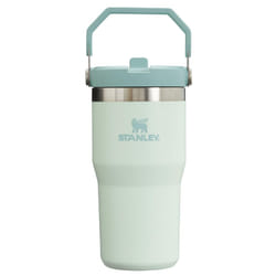 Stanley IceFlow Stainless Steel Tumbler - Vacuum Insulated Water Bottle for Home  Office or Car Reusable Cup with Straw Leak Resistant Flip Cold for 1