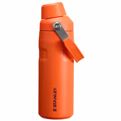Stanley IceFlow Fast Flow Water Bottle 16 oz | Angled Spout Lid | Lightweight and Leakproof for Travel and Sports | Insulated ...