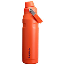 Stanley IceFlow Fast Flow Water Bottle 36 oz | Angled Spout Lid | Lightweight and Leakproof for Travel and Sports | Insulated Stainless Steel | BPA-Fr