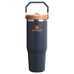 Stanley IceFlow 2.0 Flip Straw Tumbler with Handle 30 oz | Twist On Lid and Flip Up Straw | Leak Resistant Water Bottle | Insulated Stainless Steel |