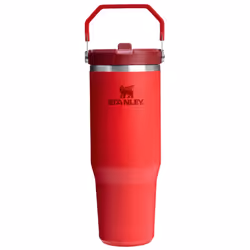 Stanley IceFlow 2.0 Flip Straw Tumbler with Handle 30 oz | Twist On Lid and Flip Up Straw | Leak Resistant Water Bottle | Ins ...