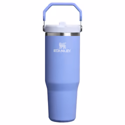 Stanley IceFlow 2.0 Flip Straw Tumbler with Handle 30 oz | Twist On Lid and Flip Up Straw | Leak Resistant Water Bottle | Ins ...