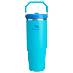 Stanley IceFlow 2.0 Flip Straw Tumbler with Handle 30 oz | Twist On Lid and Flip Up Straw | Leak Resistant Water Bottle | Insulated Stainless Steel |